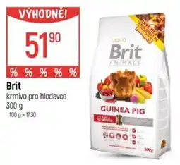 Globus Brit krmivo pro hlodavce nabídka