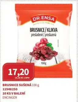 Kubík potraviny Brusnice sušená nabídka