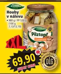 Norma Houby v nálevu nabídka