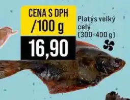 Jip Platýs velký celý nabídka