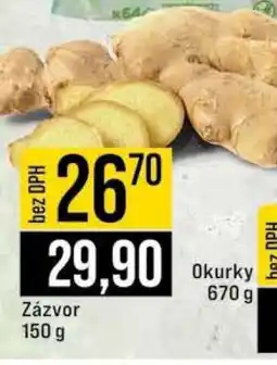 Jip Zázvor nabídka