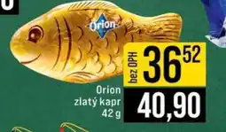 Jip ORION ZLATÝ KAPR nabídka