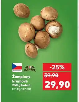Kaufland Žampiony krémové nabídka