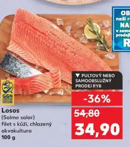 Kaufland Losos nabídka