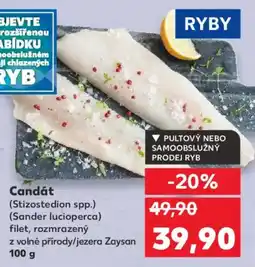 Kaufland Candát nabídka