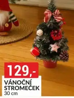 Baumax Vánoční stromeček nabídka