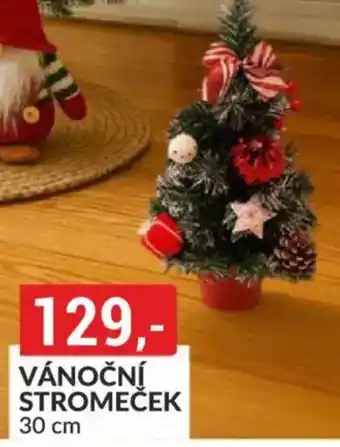 Baumax Vánoční stromeček nabídka