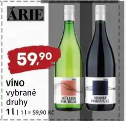 Terno VÍNO vybrané druhy nabídka