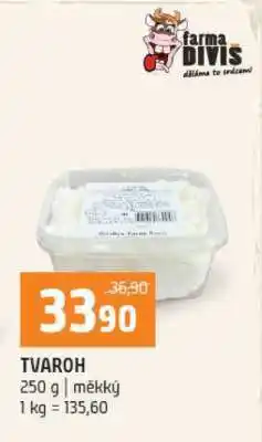Terno Tvaroh nabídka
