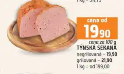 Terno TÝNSKÁ SEKANÁ nabídka