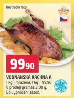 Terno VODŇANSKÁ KACHNA A nabídka