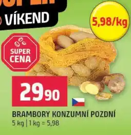 Terno Brambory konzumní pozdní nabídka