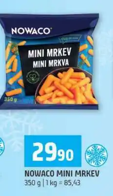 Terno NOWACO MINI MRKEV nabídka