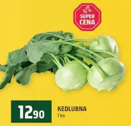 Terno KEDLUBNA nabídka