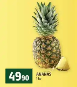 Terno Ananas nabídka