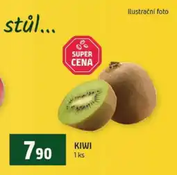 Terno Kiwi nabídka