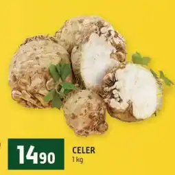 Terno Celer nabídka