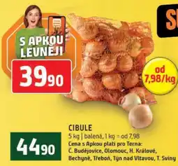 Terno Cibule nabídka