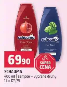 Terno Schauma nabídka