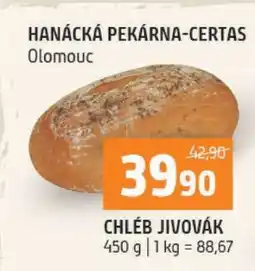 Terno CHLÉB JIVOVÁK nabídka