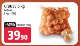 Terno CIBULE 5 kg nabídka