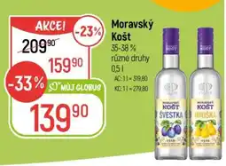Globus MORAVSKÝ KOŠT nabídka
