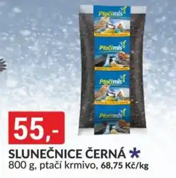 Baumax Slunečnice černá nabídka