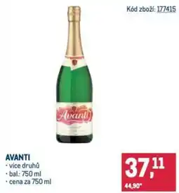 Makro Avanti nabídka