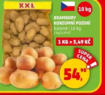 Brambory konzumní pozdní