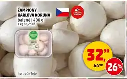 Penny Market Žampiony Karlova koruna nabídka