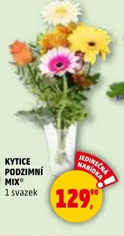 Penny Market Kytice podzimní mix nabídka