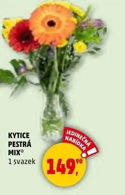Penny Market Kytice pestrá mix nabídka