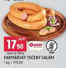 Terno Farmářský točený salám 100g nabídka