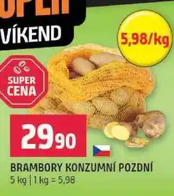Terno Brambory konzumni pozdní 5kg nabídka