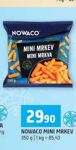 Terno Nowaco mini mrkev 350g nabídka