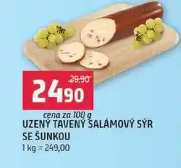 Terno UZENÝ TAVENÝ SALÁMOVÝ SÝR SE ŠUNKOU 100g nabídka
