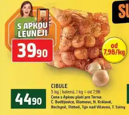 Terno cibule 5kg nabídka
