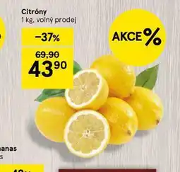 Tesco Citrony nabídka