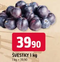 Trefa Švestky nabídka