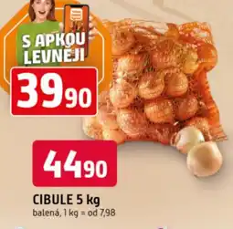 Trefa CIBULE nabídka