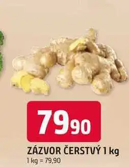 Trefa ZÁZVOR ČERSTVÝ 1 kg nabídka
