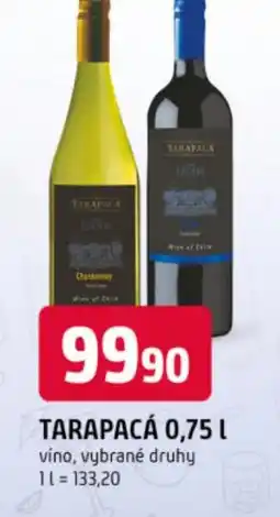 Trefa Tarapacá nabídka