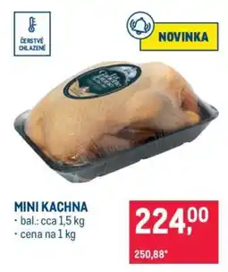 Makro MINI KACHNA nabídka