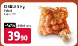 Trefa Cibule nabídka