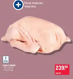 Makro Husa s droby nabídka