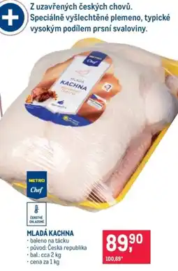 Makro Mlada kachna nabídka