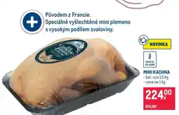 Makro Mini kachna nabídka