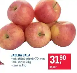 Makro Jablka gala nabídka