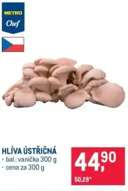 Makro Hlíva ústřičná nabídka