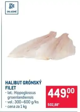 Makro Halibut grónský filet nabídka